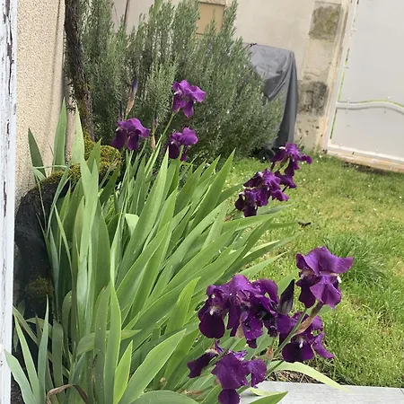 La Maison De Josephine Montignac-Charente