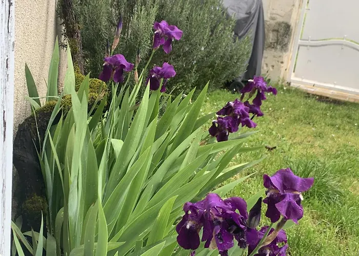 La Maison De Josephine Montignac-Charente